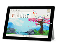 新干Surface 无法开启、Windows 无法启动或电池无法充电